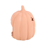 TERRACOTTA PUMPKIN & STARS TEALIGHT DECOR