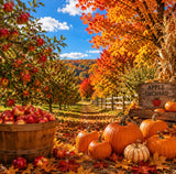 THE SEPTEMBER TREASURE BOX….